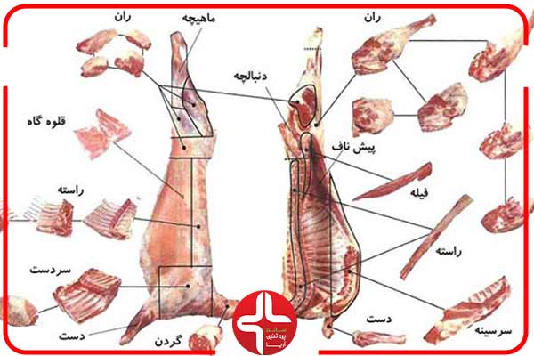 آشنایی با اجزای گوشت گوسفندی